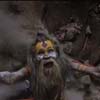 Far Cry 4 What are you made of