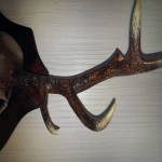 Far_Cry_5_Hope_County (9)