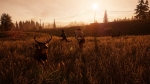 FarCry5-1