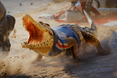 FC6-ConceptArt8