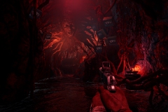 Far-Cry-6-Vaas-Insanity-2
