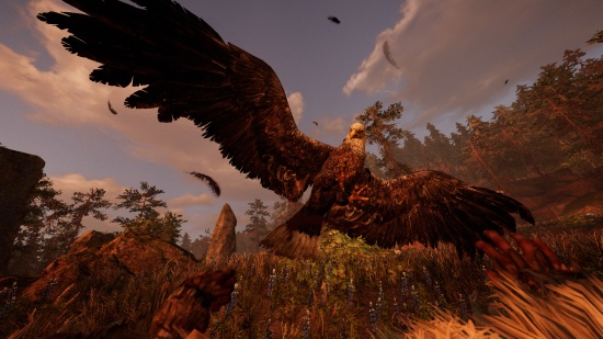 Far Cry Primal výzva - Orel