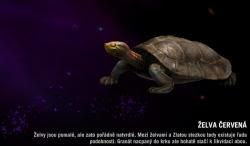 Far cry 4 - Želva červená