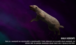 Far cry 4 - Gulo - vzácný