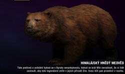 Far cry 4 - Himalájský hnědý medvěd