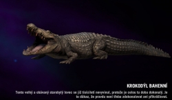 Far cry 4 - Krokodýl bahenní