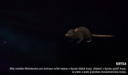 Far cry 4 - Krysa
