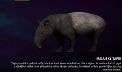 Far cry 4 - Malajský Tapír