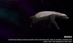 Far cry 4 - Medojed