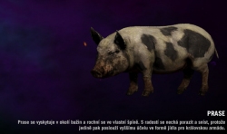 Far cry 4 - Prase