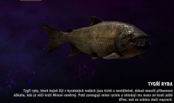Far cry 4 -  Tygří ryba
