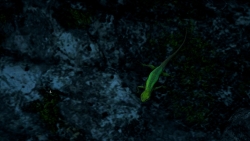 King Min's Kyrat - Japalura (1)