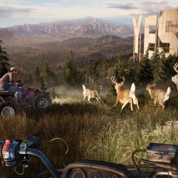 Deer Chase