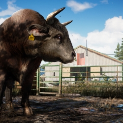 Far Cry 5 Wallapaper