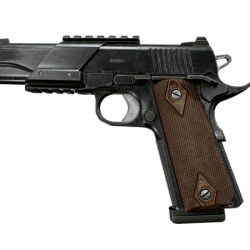Far Cry 5 1911