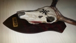 Far_Cry_5_Hope_County (8)