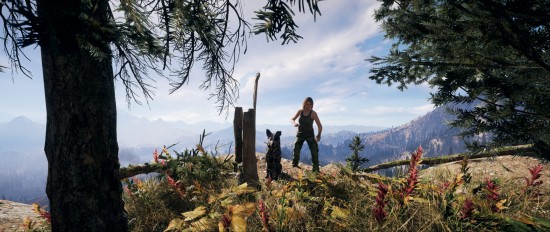 Far_Cry_5_Wallpaper_by_BackPa_3