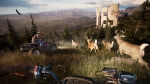 Deer Chase