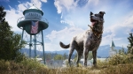 Far Cry 5 Boomer