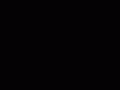 FC_Primal_GIF_09