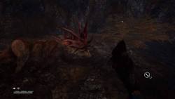 Far Cry Primal -Jayma - Lov vysokého losa - bug
