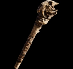 Far Cry Primal zbraně - Palice