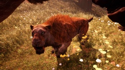 Far Cry Primal zvířata - Šavlozubý Tygr