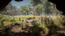 Far Cry Primal zvířata - Želva