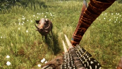Far Cry Primal zvířata - Divočák