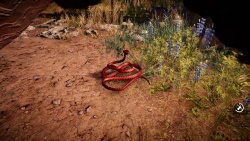 Far Cry Primal zvířata - Had