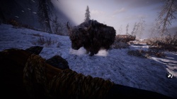 Far Cry Primal zvířata - Jak