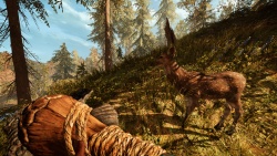 Far Cry Primal zvířata - Jelen