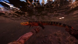 Far Cry Primal zvířata - Krokodýl