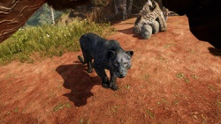 Far Cry Primal zvířata - Lev