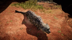 Far Cry Primal zvířata - Levhart