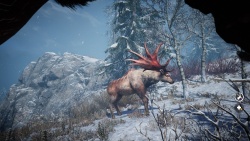Far Cry Primal zvířata - Los