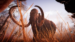 Far Cry Primal zvířata - Mamut