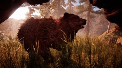 Far Cry Primal zvířata - Medvěd