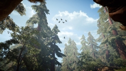 Far Cry Primal zvířata - Motýli