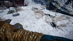 Far Cry Primal zvířata - Myši a Krysy