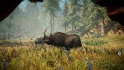 Far Cry Primal zvířata - Nosorožec