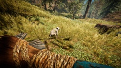 Far Cry Primal zvířata - Opice