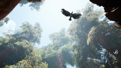Far Cry Primal zvířata - Ptáci