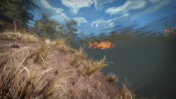 Far Cry Primal zvířata - Ryba