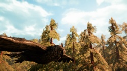 Far Cry Primal zvířata - Sova