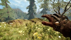 Far Cry Primal zvířata - Včely