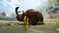 Far Cry Primal zvířata - Vzácný Nosorožec