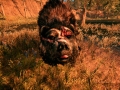 Far Cry Primal - Medvěd s velkou jizvou