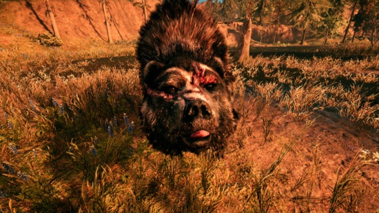 Far Cry Primal - Medvěd s velkou jizvou