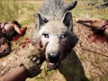 Far Cry primal wallpaper